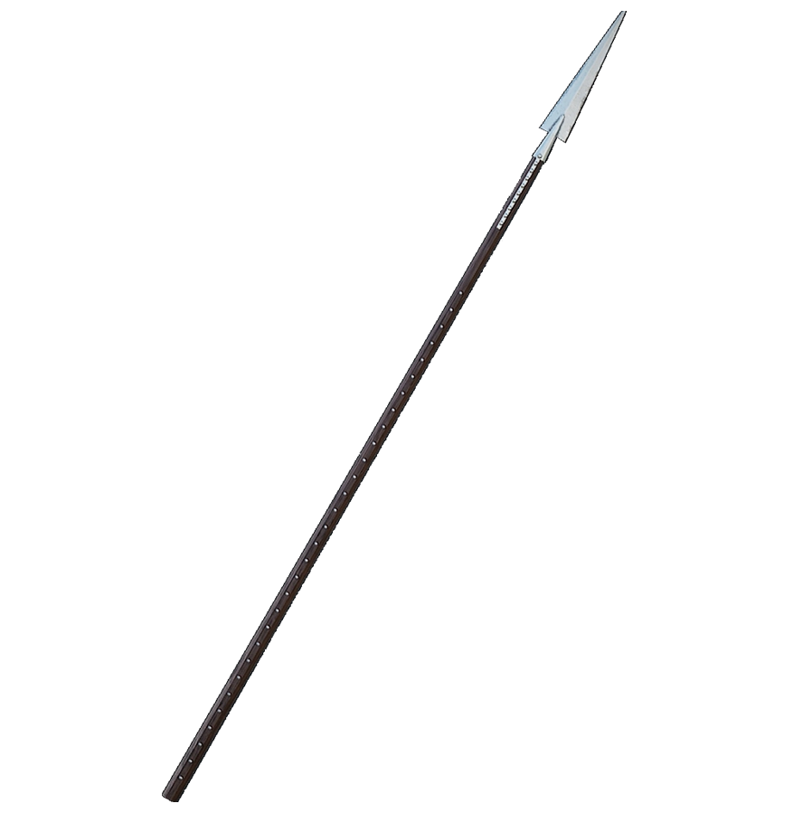 תוכנית לוחם